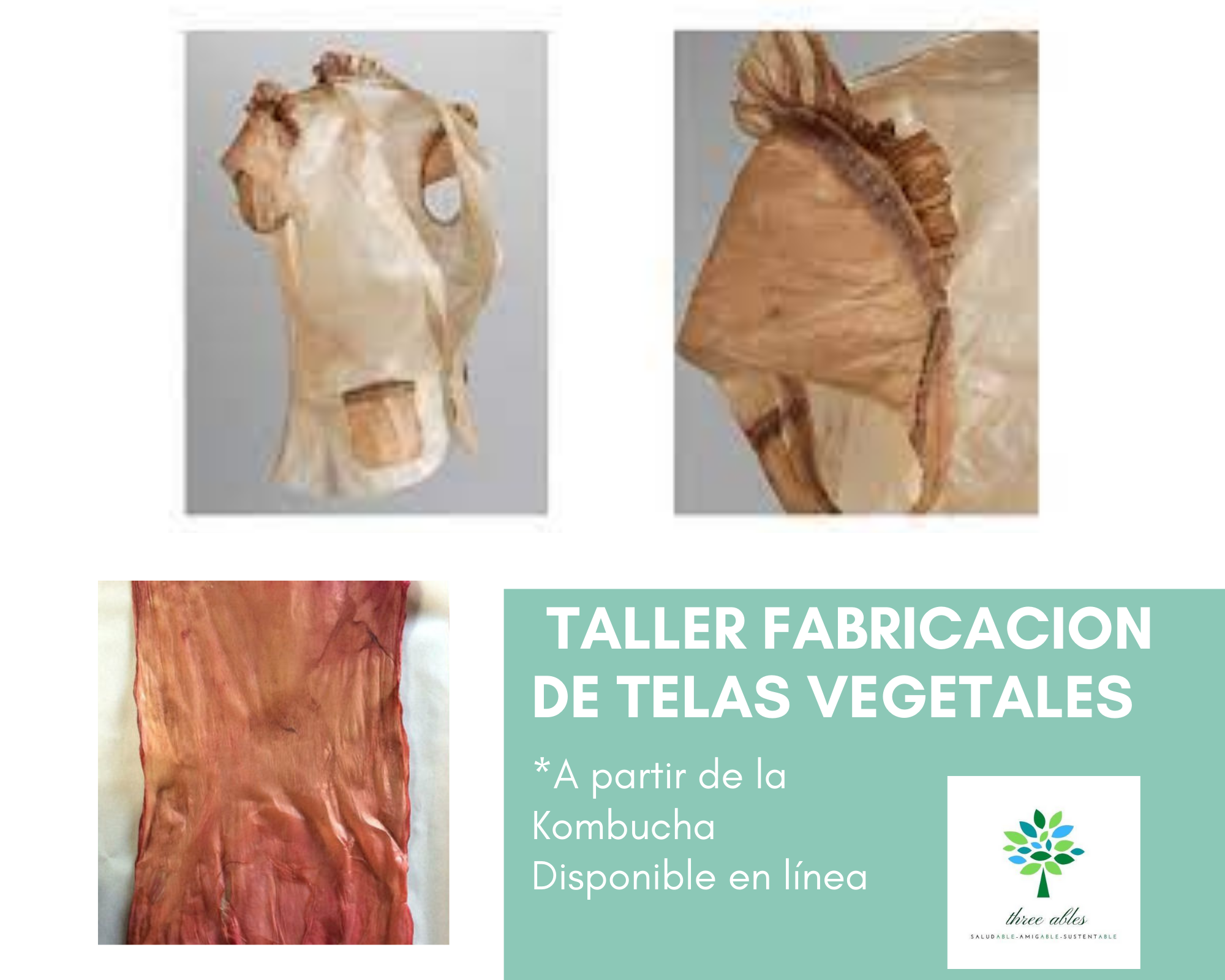 Taller Elaboración de Tela Vegetal de Kombucha