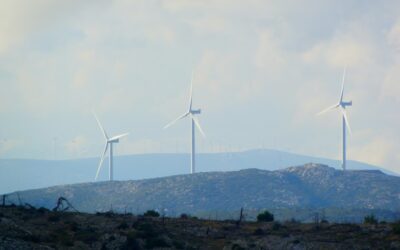 Descubre cómo el Sello Rebiore impulsa el crecimiento del reciclaje creativo en empresas e instituciones