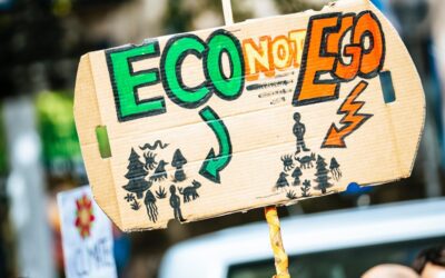 Transforma tu taller de reciclaje creativo con el Sello Rebiore: ¡Conviértete en un emprendedor eco-friendly exitoso!