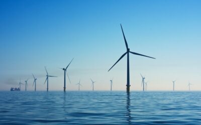 Transformando el mundo: Las empresas que están revitalizando materiales y energía vital para un futuro más sostenible