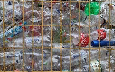 Emprendedores exitosos: Casos de éxito en el sector del reciclaje que te inspirarán