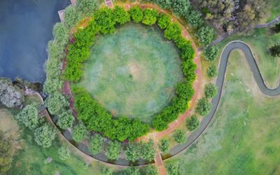 Sostenibilidad en el desierto: Casos de éxito de creatividad circular en Dubái