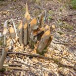 Descubre los secretos de los spas más eco-friendly: Los objetos decorativos reciclados que triunfan en la industria