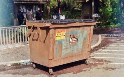 Guía práctica para organizar talleres de reciclaje creativo en empresas: ¡haz que tu equipo se una a la causa verde!