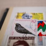 Sellos ecológicos: la clave para destacar en el mercado de terapias naturales