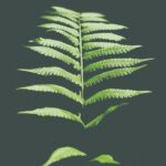 El valor de las certificaciones ecológicas internacionales para el crecimiento de empresas familiares