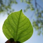 Innovación industrial y sostenibilidad: claves para obtener certificaciones que marquen la diferencia