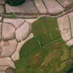 Málaga: cuna de la sostenibilidad empresarial y la certificación ISO