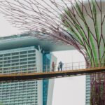 El impacto positivo de la certificación sostenible en Málaga