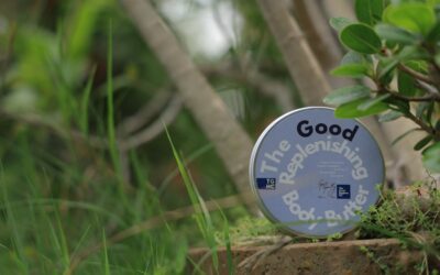 Mejora la eficiencia de tu empresa con Rebiore como aliado de ISO 14001