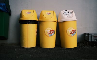 El impacto positivo de los negocios basados en la reutilización: ¡Descubre cómo empezar el tuyo!