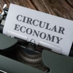 Descubre cuál es el modelo de negocio en economía circular que mejor se adapta a tu empresa