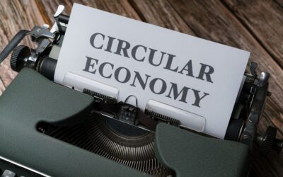 Descubre cuál es el modelo de negocio en economía circular que mejor se adapta a tu empresa