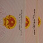 Pasos clave para implementar con éxito las certificaciones ISO en empresas globales