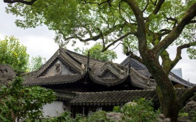 Los secretos de la cosmética natural frente a la cosmética convencional