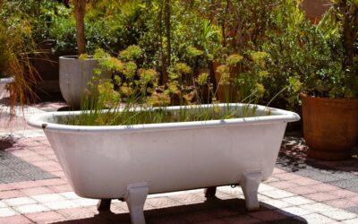 Emprendimientos de wellness sostenible: ¿cuáles lideran la lista este año?